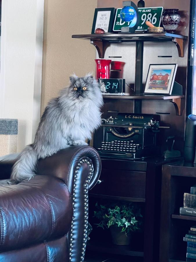 Ruskin Fl Private 2 Bdrm 1 Bath Suite Common Areas Shared With Host And Cat Extérieur photo