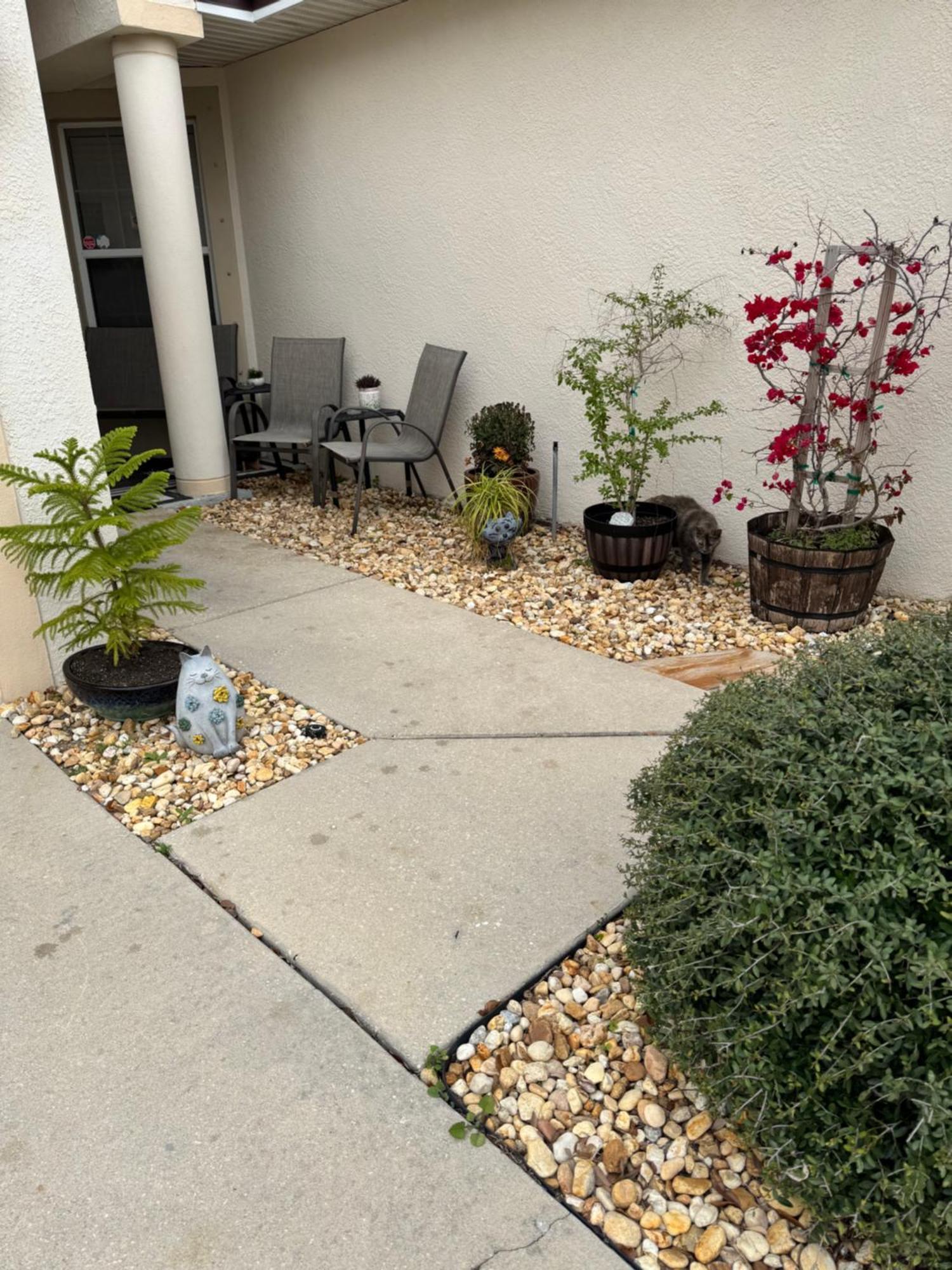 Ruskin Fl Private 2 Bdrm 1 Bath Suite Common Areas Shared With Host And Cat Extérieur photo
